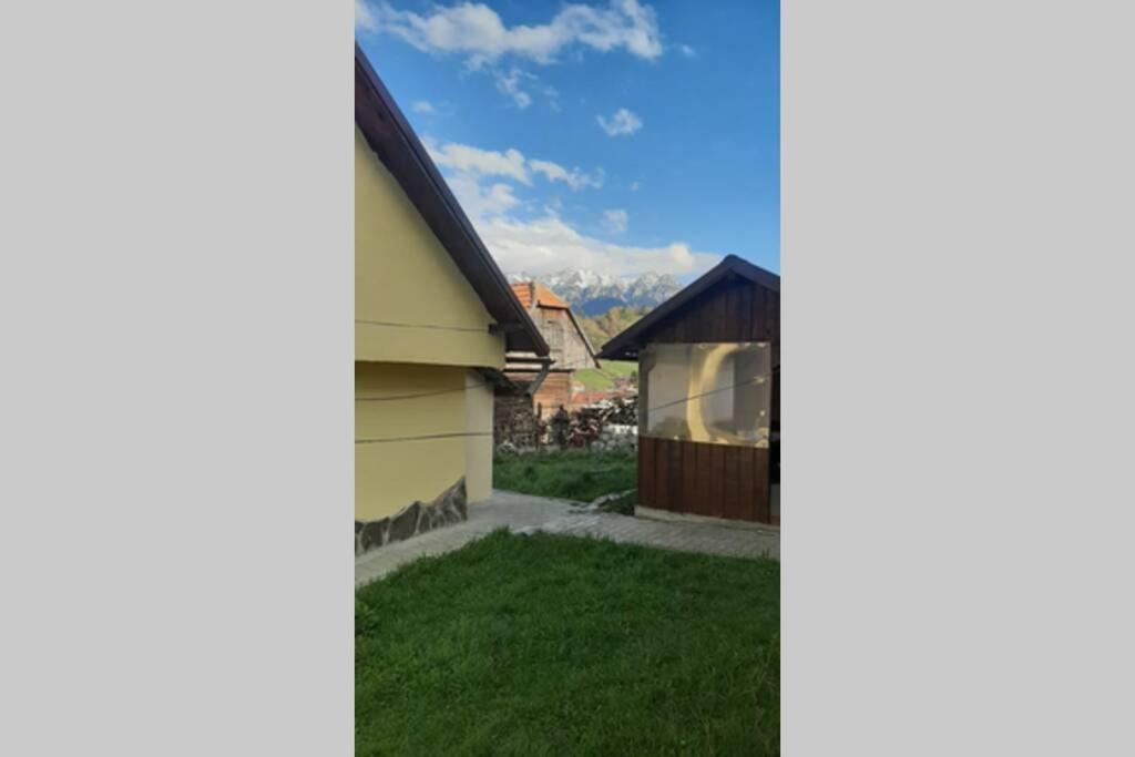 Casa In Curte La Zavate Villa Bran  Exteriör bild