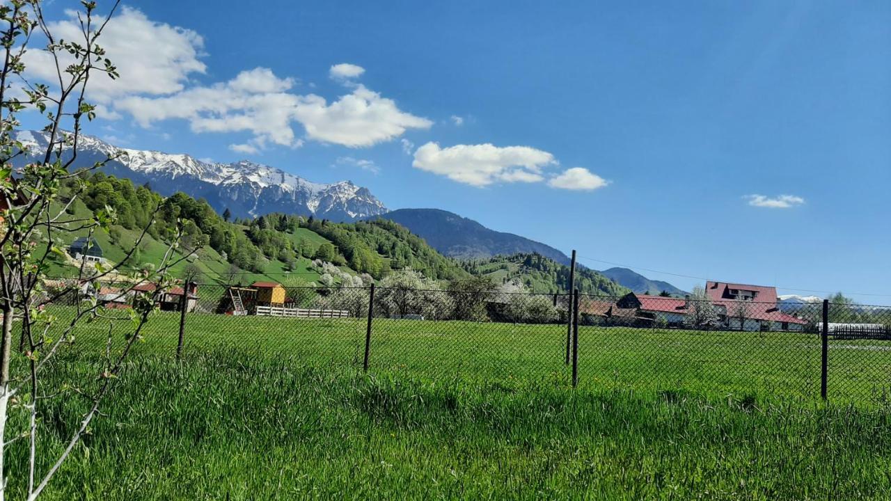Casa In Curte La Zavate Villa Bran  Exteriör bild
